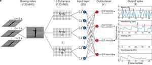 Recognizing human motions