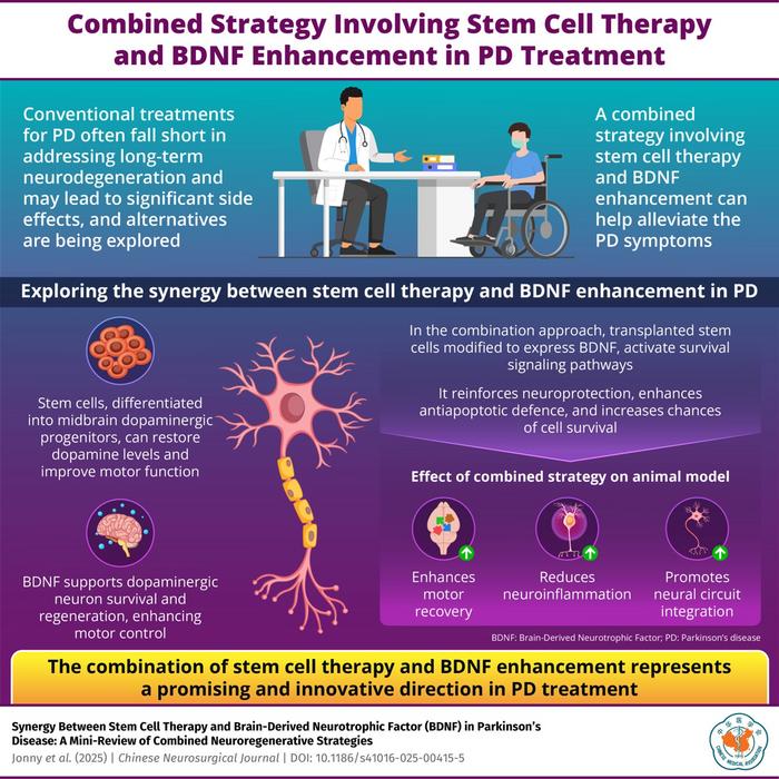 Potential of combination therapy involving stem cells and brain-derived neurotrophic factor to treat neurodegeneration.