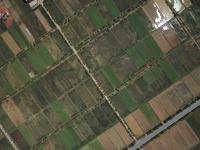Consolidated farms