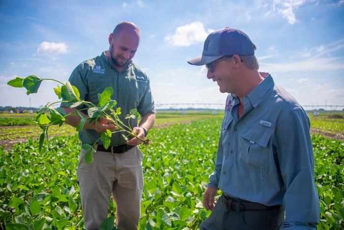 Improving irrigation efficiency
