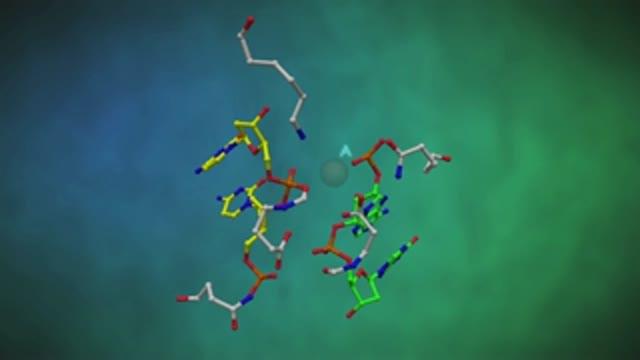 DNA Double-Strand Break by the Endonuclease I-DmoI