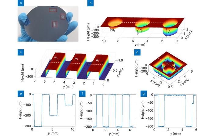 Demonstration of wafer inspection