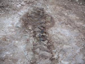Fossil extraction