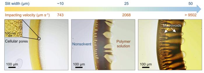 Decoupling of macropores and cellular pores