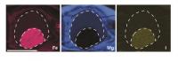 Lab Mimicry of Mantle-Core Separation