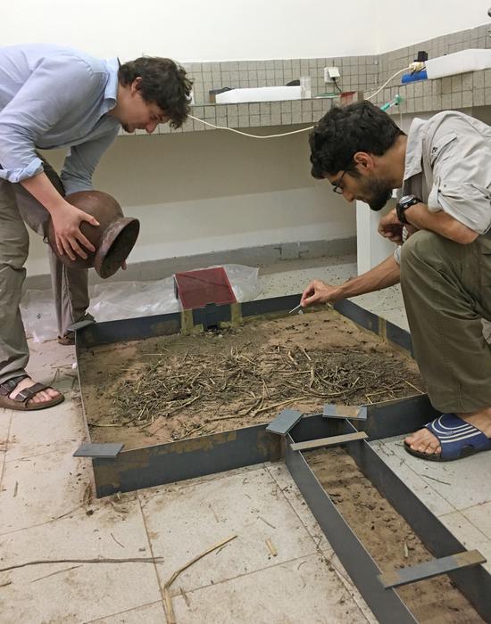 Ant Research With Artificial Nests