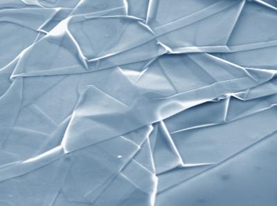 Graphene Micrograph