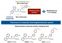 Critical Sites on KL001 Derivatives