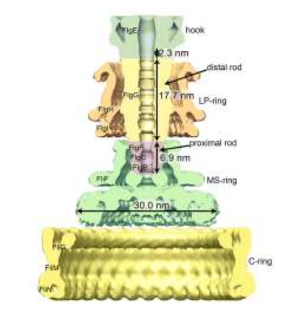 Figure 1 Schematic Diagram 