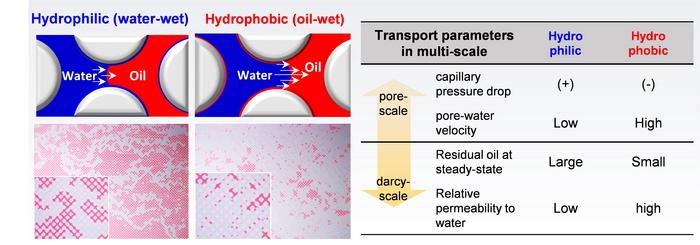 [Figure 3] Schematic diagram of Immiscible Displacements in Porous Media and Trends in Flow/Reaction Related Variables at Multiple Scales