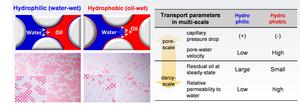 [Figure 3] Schematic diagram of Immiscible Displacements in Porous Media and Trends in Flow/Reaction Related Variables at Multiple Scales