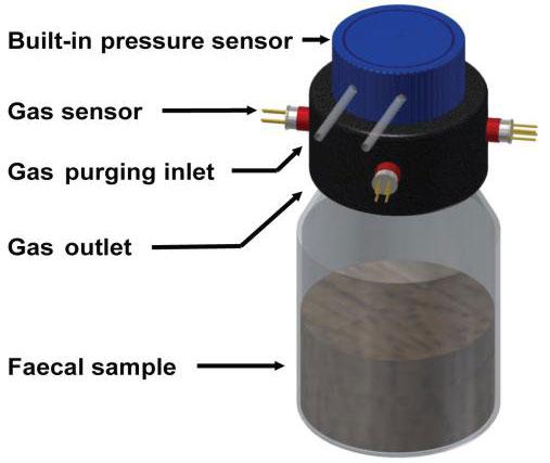 Fecal Fermentation System