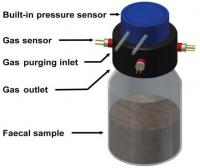 Fecal Fermentation System