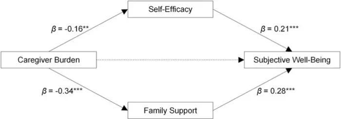 PARALLEL MEDIATION MODEL OF SELF-EFFICACY AND FAMILY SUPPORT BETWEEN CAREGIVER BURDEN AND SUBJECTIVE WELL-BEING.