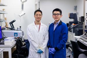 New nanomaterial helps patients with kidney stones