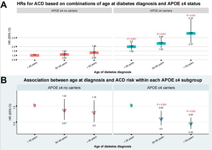 Joint association of age at diabetes diagnosis and APOE ε4 carrier status with risk of ACD.