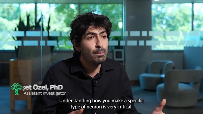How neurons build their identity in the first hours of life