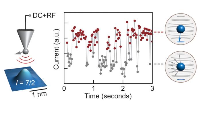 Figure 2025 Nature Communications - Sander Otte