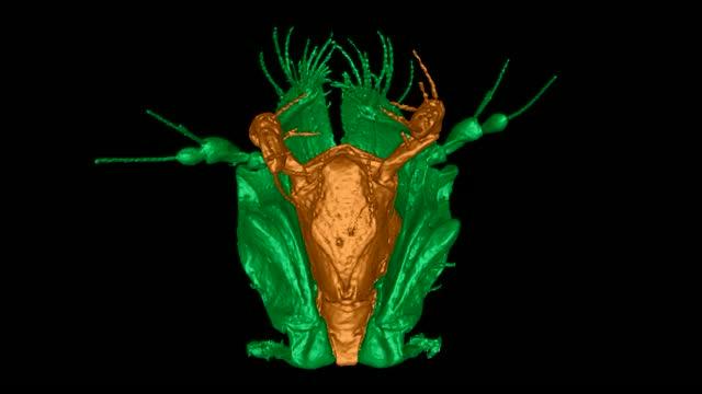 3-D Reconstruction 