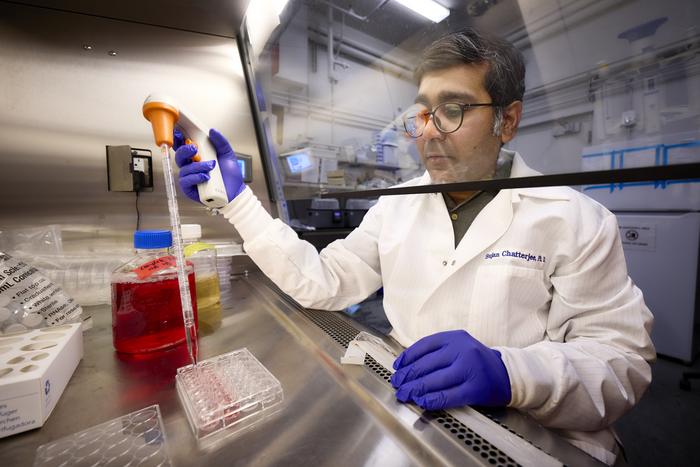 Sujan Chatterjee conducts research in UNLV Guha Lab