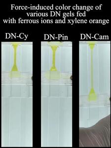 The radical generation of hydrogels