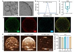 Characterization of the fabricated hollow silica nanostructures (HSN).