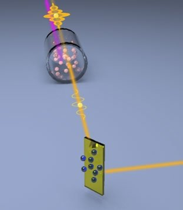 Squeezing the Noise Out of Microscopes with Quantum Light
