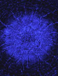 Resolidification Patterns