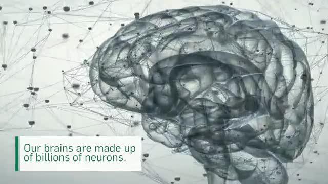 Visualization of Newly Formed Synapses with Unprecedented Resolution