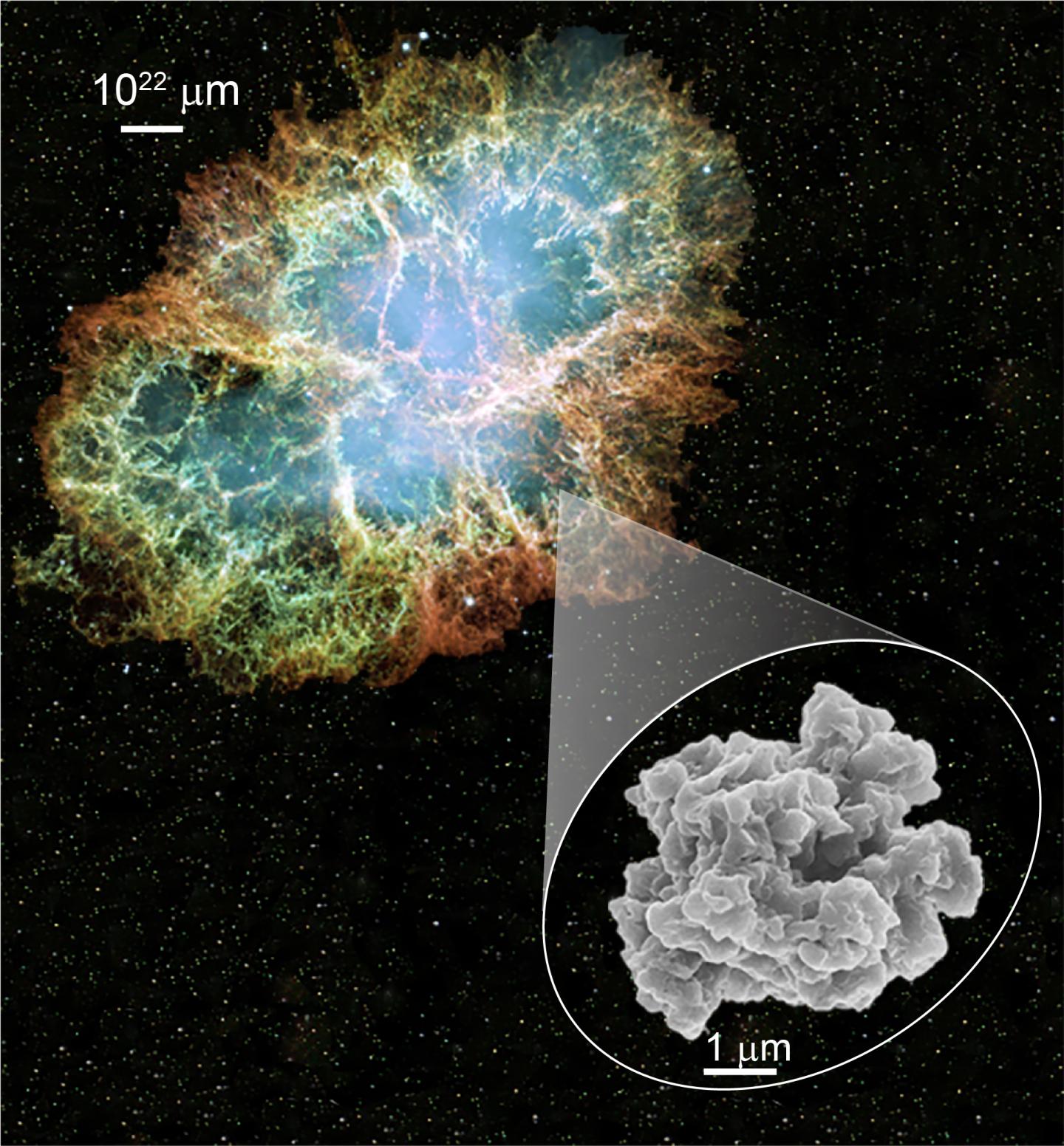 Presolar Grains are Excellent Probes of Astrophysical Processes