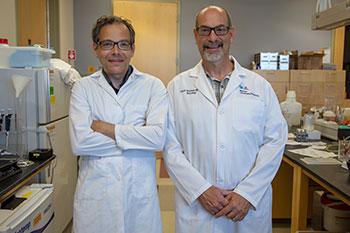Torsten Falk, PhD, and Scott Sherman, MD, PhD