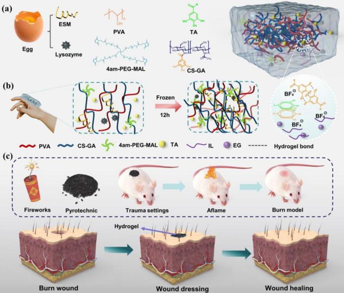 Structural design of organohydrogels and schematic representation of burn modelling on the back of a mouse and skin wound recovery.