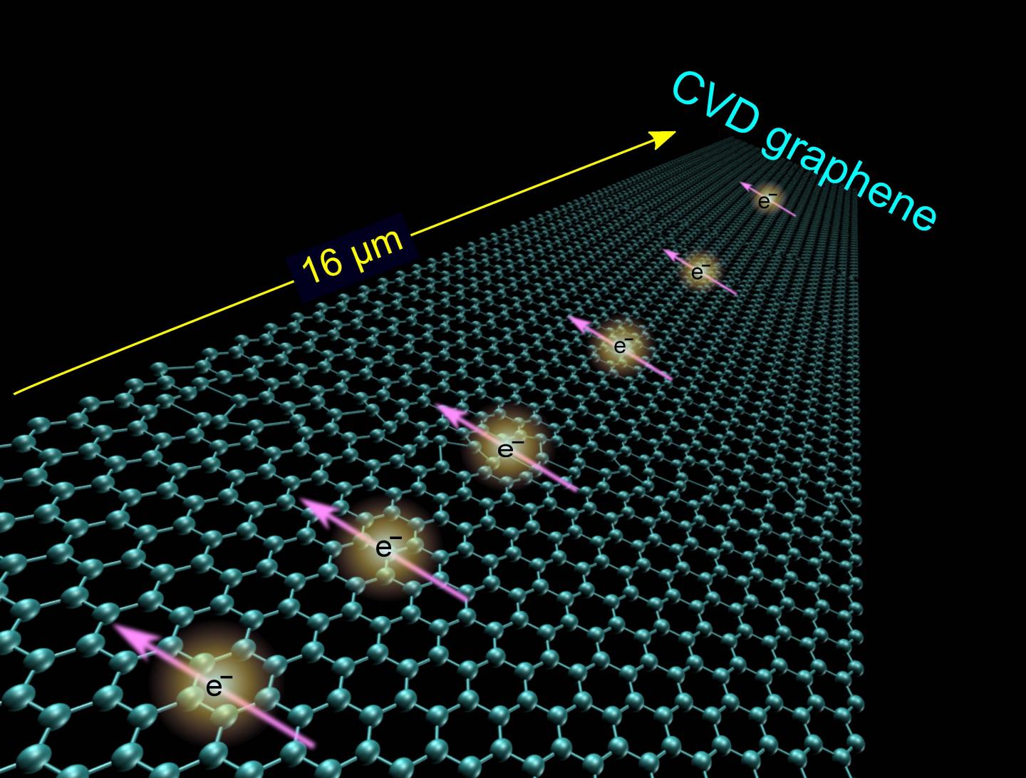 Spin Transport in CVD Graphene