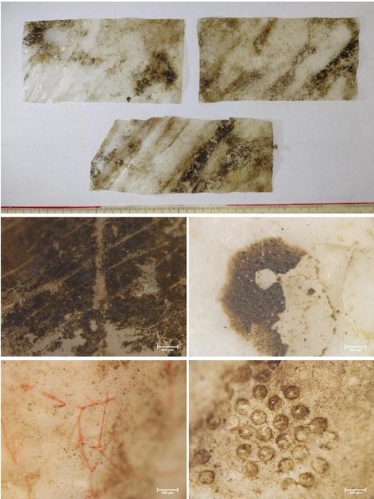 Reserch findings