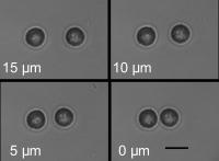 Separate cells