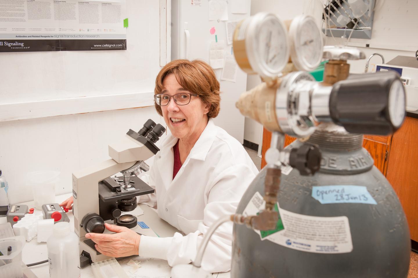 Kansas State University Biologist Studies Trauma Survival Differences between Men, Women