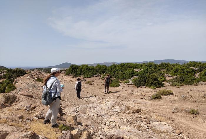 Field survey in Ayvalık