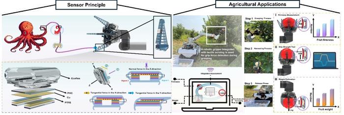 An octopus-sucker inspired triboelectric self-decoupling three-axis force-sensing strategy