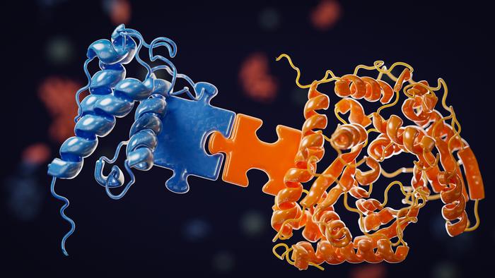 Docking Domains: The Key to Bacterial Drug Assembly