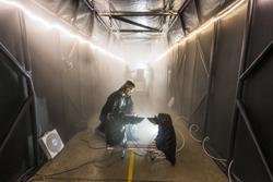 Fog Chamber