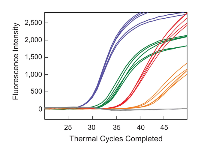 New assay shows promise for advancing personalized cancer treatment