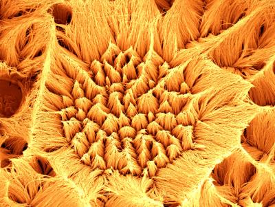 Nanowires
