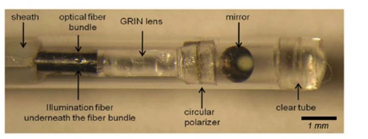 Intravascular catheter