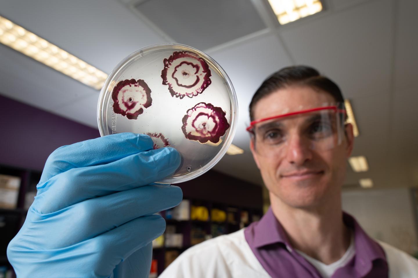 QUT Researcher Anthony Verderosa
