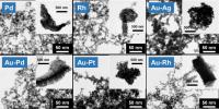 electron microscopy images