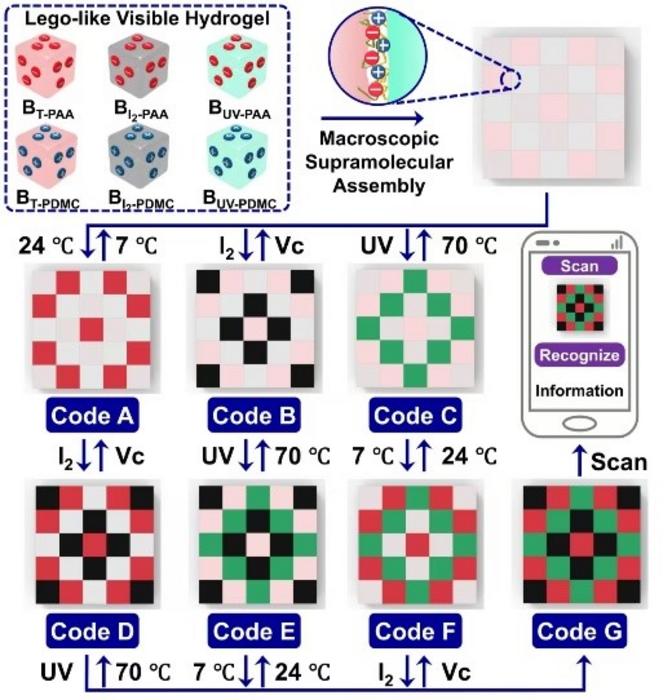 Schematic of 3D code construction through macroscopic supramolecular assembly, illustrating how the information can be reversibly reconfigured in response to different stimuli.