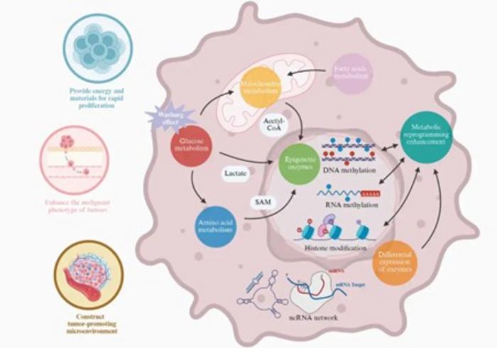 The Epigenetic-Metabolic Crosstalk in Hepatocellular Carcinoma