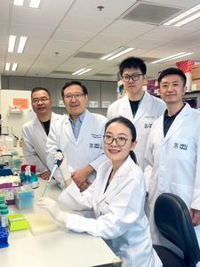 Research team 3