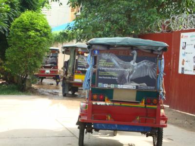 Vulture Signage on Tuk-tuks