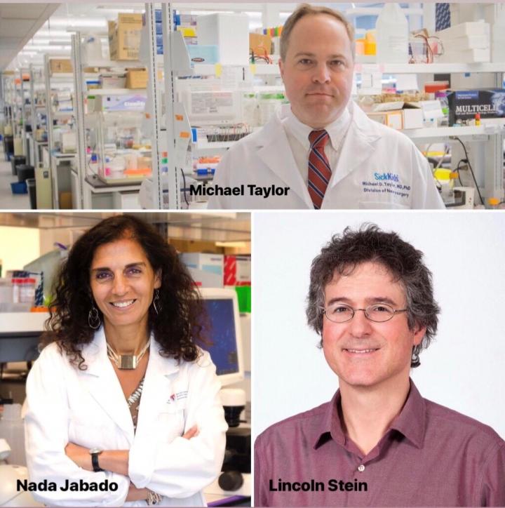 Co-Lead Authors of the Paper